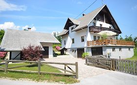 Anna'S House